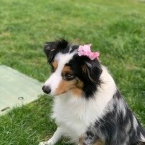 Meet your Posher, Savannah